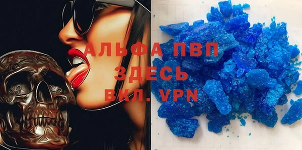 стафф Алзамай